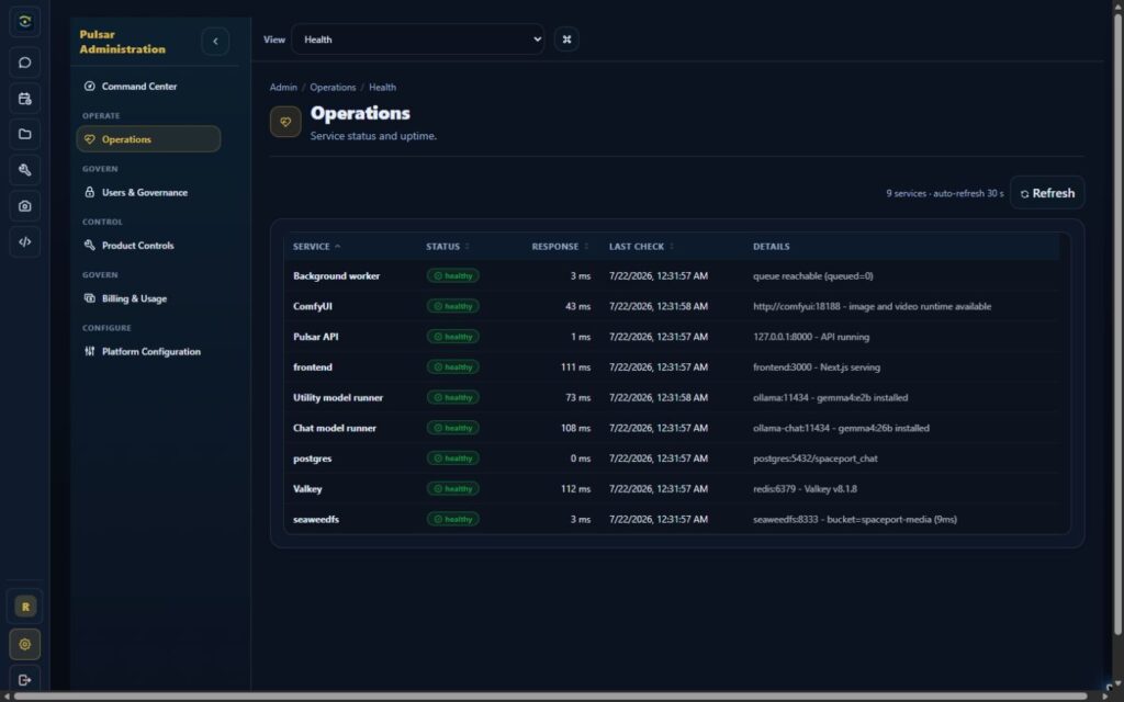 Pulsar Operations showing healthy private application services, model runtimes, Valkey, and SeaweedFS.