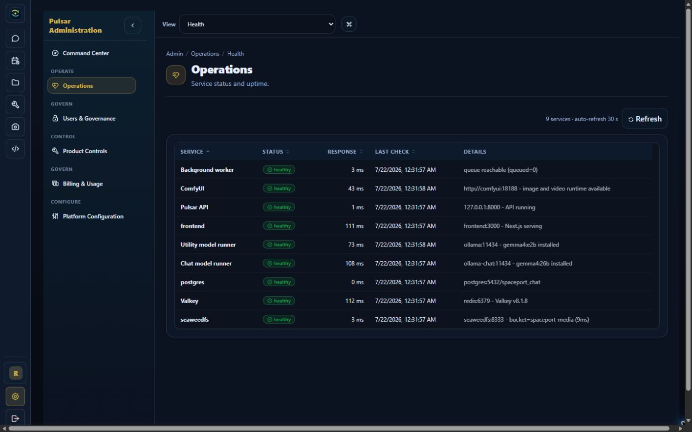 Pulsar Operations showing healthy private application services, model runtimes, Valkey, and SeaweedFS.